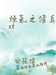 炼气之修真者txt