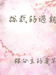 总裁的过期情人