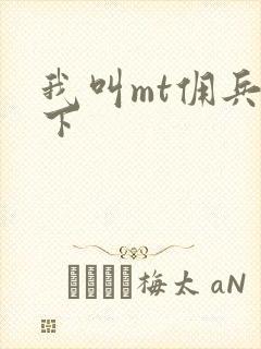 我叫mt佣兵天下