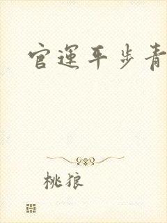 官运平步青云