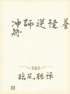 冲师逆徒养成手册