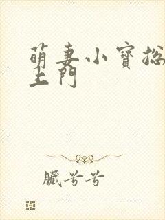 萌妻小宝总裁找上门