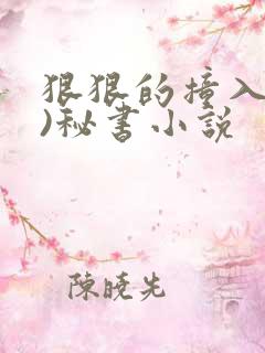 狠狠的撞入(h)秘书小说