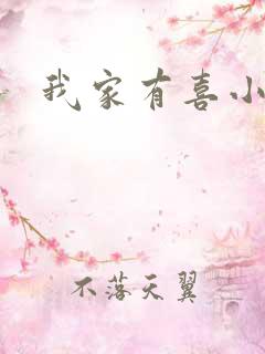 我家有喜小说