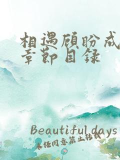 相遇顾盼成欢全章节目录