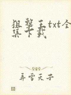 狙击王txt全集下载