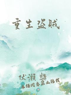 重生盗贼