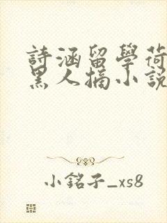 诗涵留学荷兰被黑人摘小说