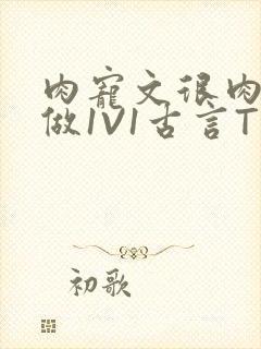 肉宠文很肉到处做1V1古言T