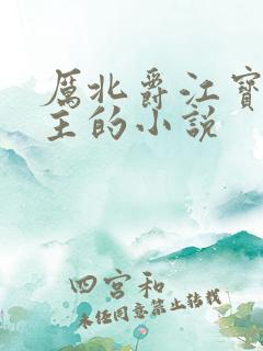 厉北爵江宝宝男主的小说