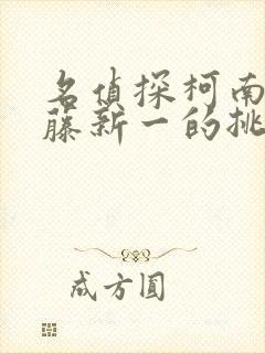 名侦探柯南给工藤新一的挑战书