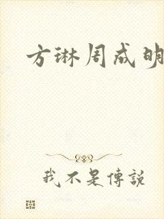方琳周成明小说