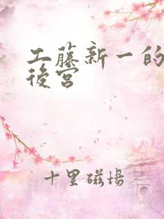 工藤新一的日本后宫