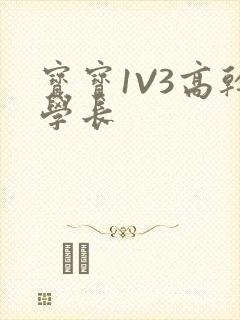 宝宝1V3高干学长