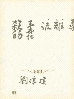 杀手 流离寻岸的花