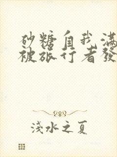 砂糖自我满足时被旅行者发现小说