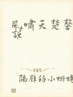 风啸天楚馨月小说
