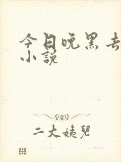 今日晚黑去见你小说