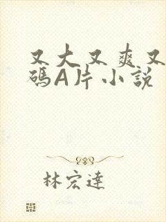 又大又爽又黄无码A片小说