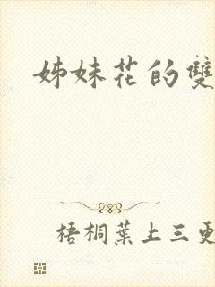 姊妹花的双重奏