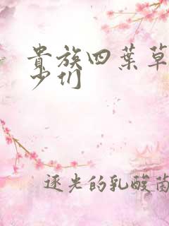 贵族四叶草的恶少们