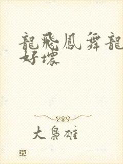 龙飞凤舞龙王你好坏