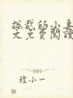 总裁的小妻子全文免费阅读