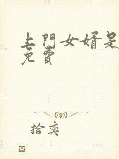 上门女婿是锦鲤免费