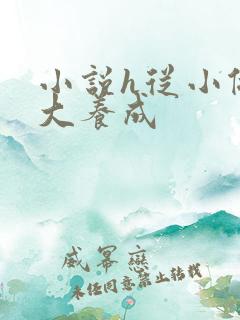 小说h从小做到大养成