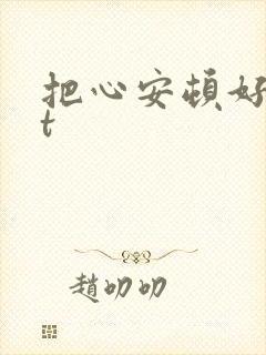 把心安顿好txt