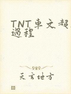 TNT车文超细过程