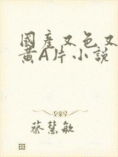 国产又色又爽又黄A片小说