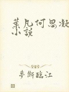 叶凡何思凝七月小说