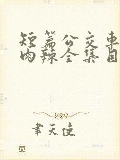 短篇公交车高h肉辣全集目录