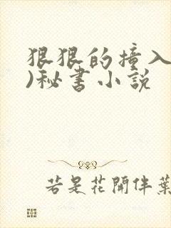 狠狠的撞入(h)秘书小说