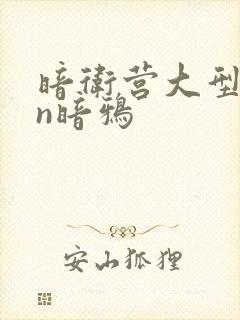 暗卫营大型hpn暗鸦