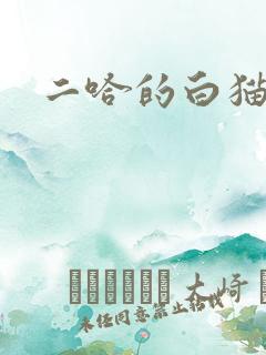 二哈的白猫师尊