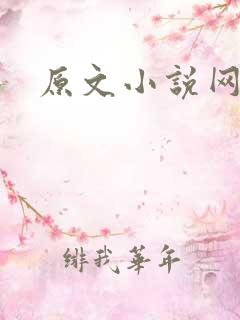 原文小说网