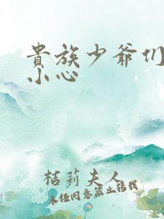 贵族少爷们 请小心