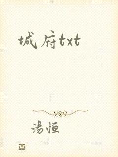 城府txt