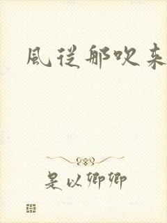 风从那吹来小说