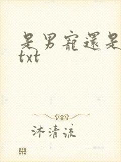 是男宠还是禁脔txt