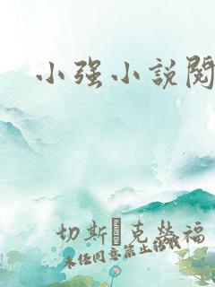 小强小说阅读网