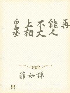 皇上不能再进了丞相大人