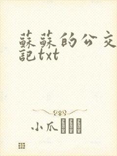 苏苏的公交车日记txt