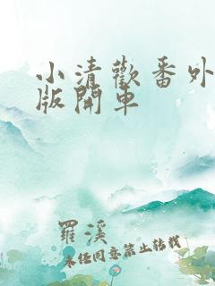 小清欢番外完整版开车