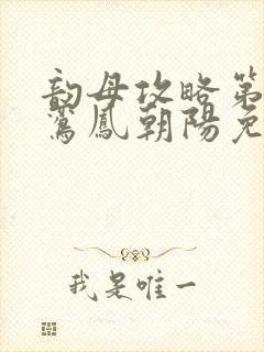 韵母攻略第二部鸾凤朝阳免费阅读