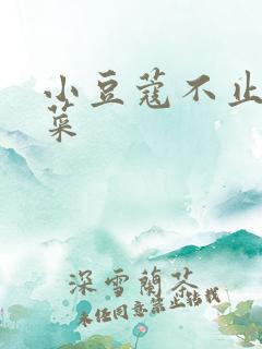 小豆蔻不止是颗菜