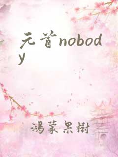 元首nobody