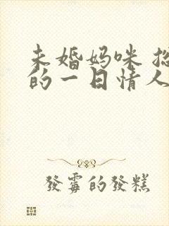 未婚妈咪 总裁的一日情人